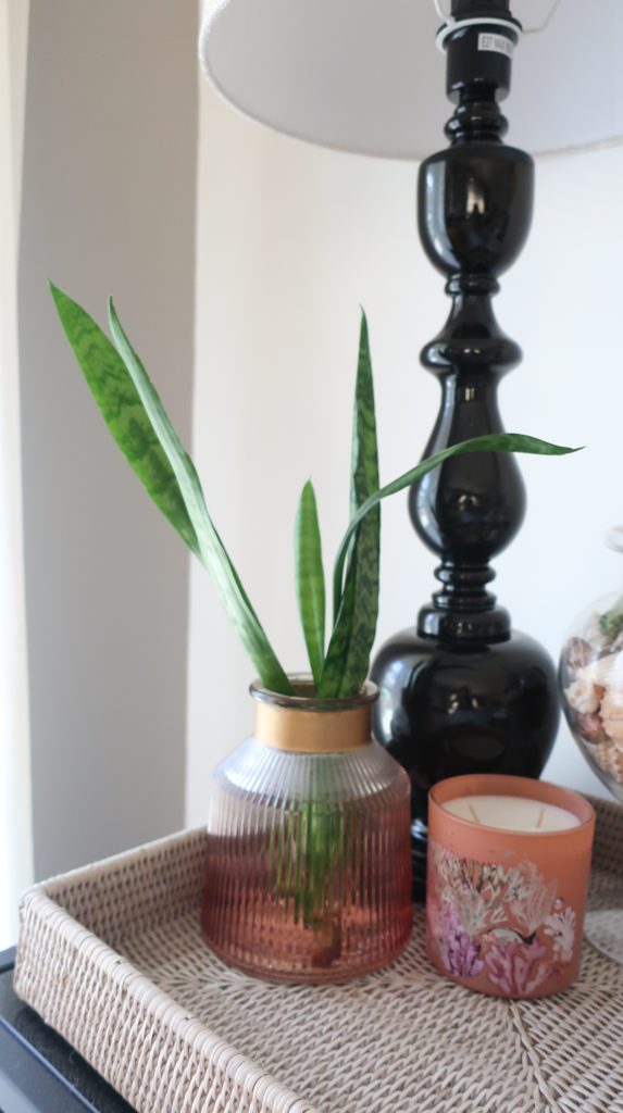 Decorate with indoor plants by Linlin Interiors Adelaide